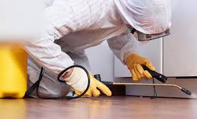 Best Real Estate Pest Inspections  in Wellington, FL